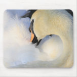 Stummer Schwan Mousepad