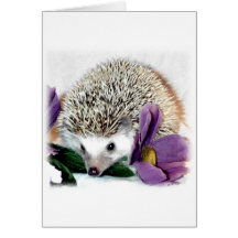 Stürmisch der Igel Karte