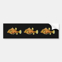 SturzhelmCowfish Autosticker
