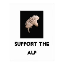 Stützen Sie den ALF Postkarte