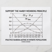 Stützen Sie die Robust-Weinberg Prinzip-Praxis Vollfarbige Flyer