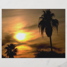 Subtropischer Sonnenuntergang Flyerdruck