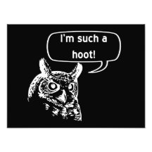 Such a Hoot Photograph