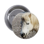 SüdDevon die Shetlandinseln, die Strand genießen buttons