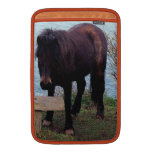 SüdDevon-Küste Dartmoor Pony an der Bank ipad sleeves