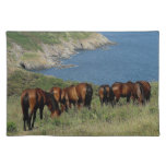 SüdDevon-Küstenlinie Dartmoor Ponys Grazeing tischsets