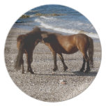 SüdDevon-Strand zwei Dartmoor Pony-Ebbe teller