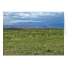 Südliche Idaho-Wüste Grußkarte