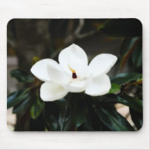 Südliche Magnolien-Blumen-Computer Mousepad
