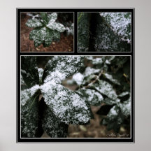 Südliche Schneeflocken Plakatdruck