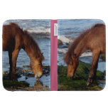 Südponys Devons Dartmoor, die Fernstrand genießen caseable hüllen
