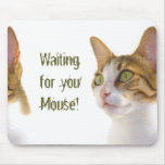Suki Katze mousepad