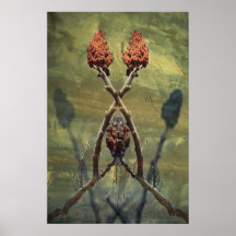 Sumac Symmetrie Plakatdrucke
