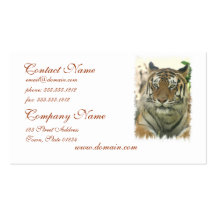 Sumatran Tiger Business Cards