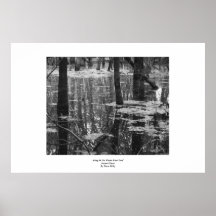Sumpf BW-Plakat