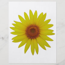 Sunflower - Sonnenblume (01) Flyerdruck