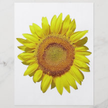 Sunflower - Sonnenblume (02) Flyerdesign