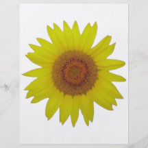 Sunflower - Sonnenblume (03) Individuelle Flyer