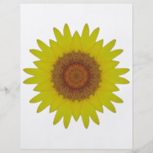 Sunflower - Sonnenblume (04) Vollfarbige Flyer