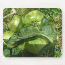 Sunlit grüne Tomaten Mousepad