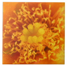 Sunny Flower Kachel