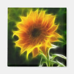 Super helle Sonnenblume Magnets