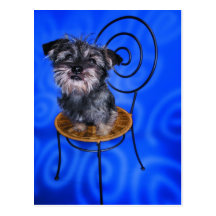 Süße Hundefoto-Karten, Geschenke - fertigen Sie be Postkarte