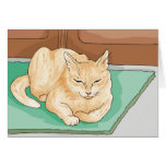 Süße Miezekatze-Katzen-Karten
