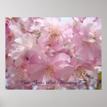 Süßer Frühlings-druckt rosa blühende Baumkunst Flo Posterdrucke