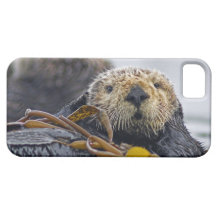 Süßer kalifornischer Seeotter (Enhydra lutris) Hülle Fürs iPhone 5