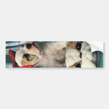 Süßer kleiner Bulldoggen-Welpe Autoaufkleber