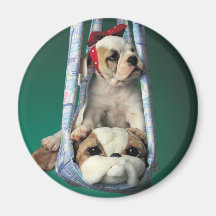 Süßer kleiner Bulldoggen-Welpe Kühlschrankmagnet
