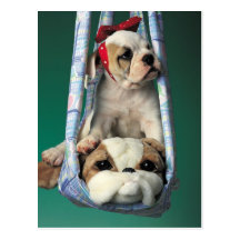 Süßer kleiner Bulldoggen-Welpe Postkarte