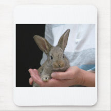 süßes kleines Kaninchen Mauspad