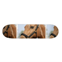 Süßes Palomino-Skateboard Skateboardbretter