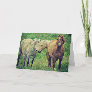 Geburtstag Glückwunsch Pferd