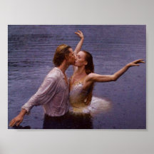 Swan See Plakate