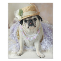 Sweet Pug in Straw Hat Print Art Photo