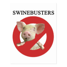 Swinebusters! Postkarte