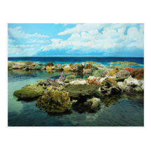 Sydney Great Barrier Reef Postkarte