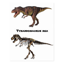 T-rex Fleisch-n-Knochen, Postkarte