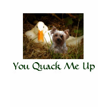 T-Shirt Yorkshires Terrier mit Ente