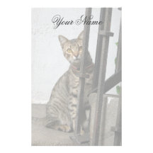 Tabby-Katze stationär Personalisierte Büropapiere