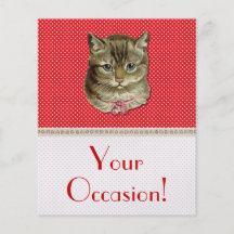 Tabbykatze Flyer