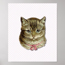Tabbykatze Plakate