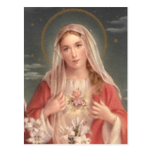Tadelloses Herz von Mary Postkarte