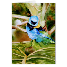 Tanager-Porträt-Aquarell Grußkarten
