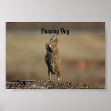 Tanzenhund Posterdrucke