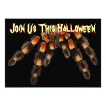Tarantula-Halloween-Schlag-Einladung