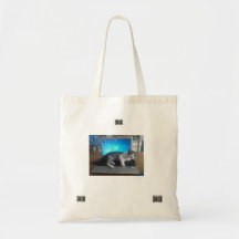 TASCHE